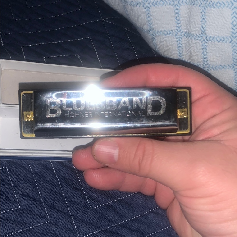 Hohner Bluesband Harmonica